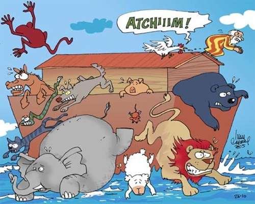 arca y aviar.jpg (35517 bytes)